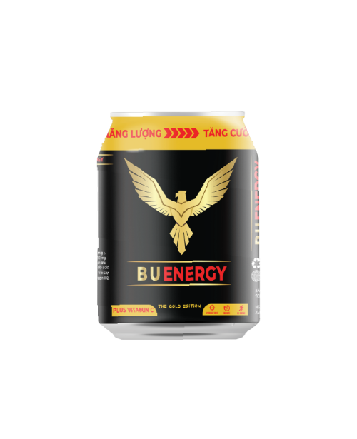 BU ENERGY