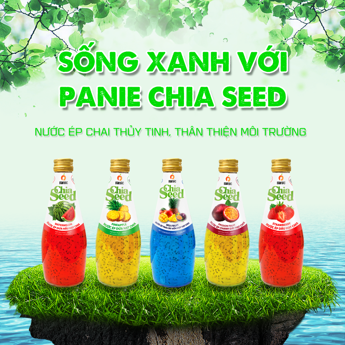 Chia Seed Drink